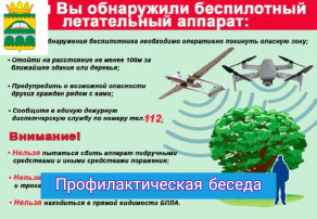 Профилактическая беседа Профилактическая беседа.